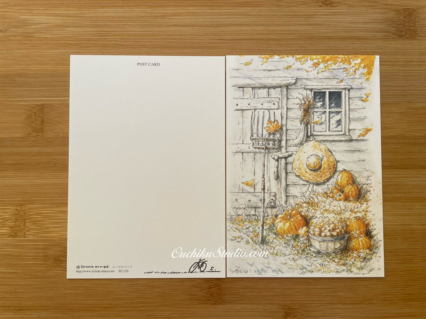 メープルリーフ Fall - Shinya Uchida Postcard