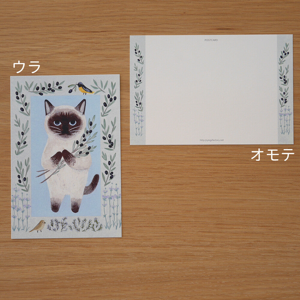 Siamese cat - Cat in a picture book series- 4Legs postcards