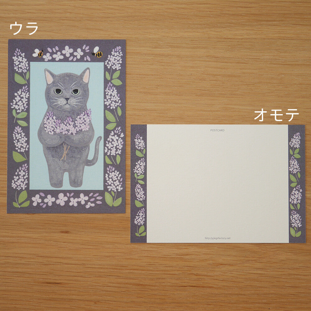 Russian Blue - Cat in a picture book series- 4Legs postcards