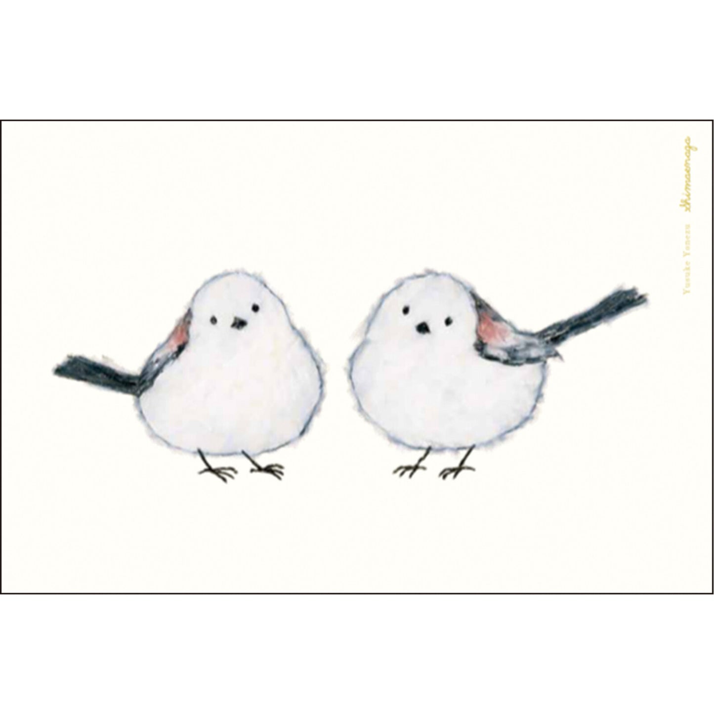 Striped Enaga - 米津祐介 Greeting Life postcards