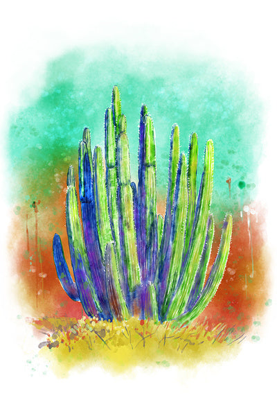 Cactus - Watercolor - Lantern Press Postcard