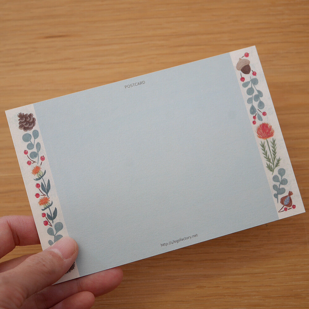 Long-haired Cat - Cat in a picture book series- 4Legs postcards