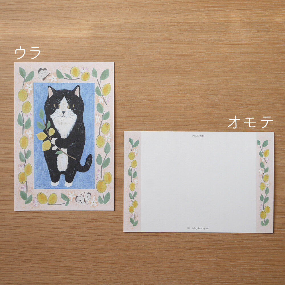 Tuxedo cat - Cat in a picture book series- 4Legs postcards