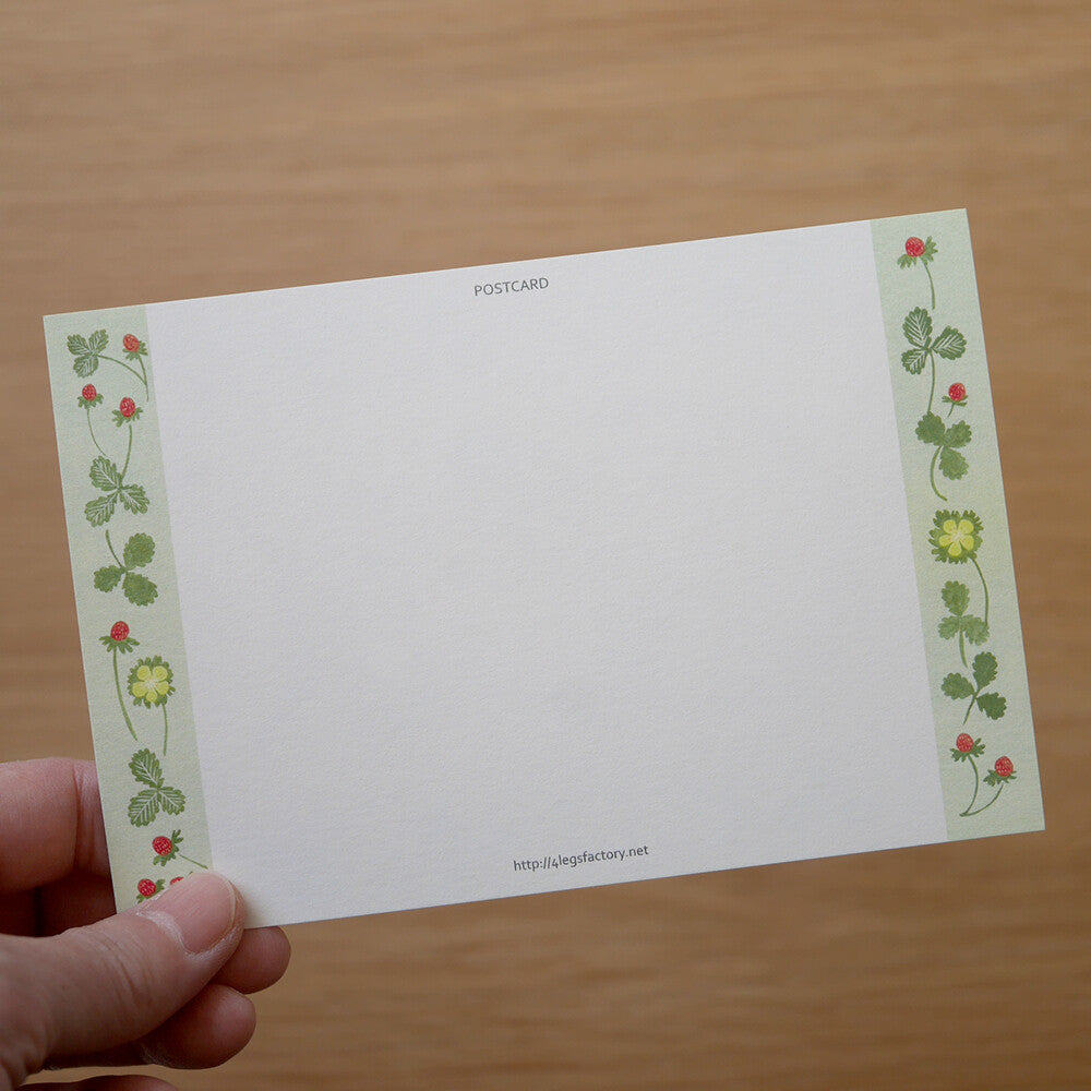 Kitten - Cat in a picture book series- 4Legs postcards