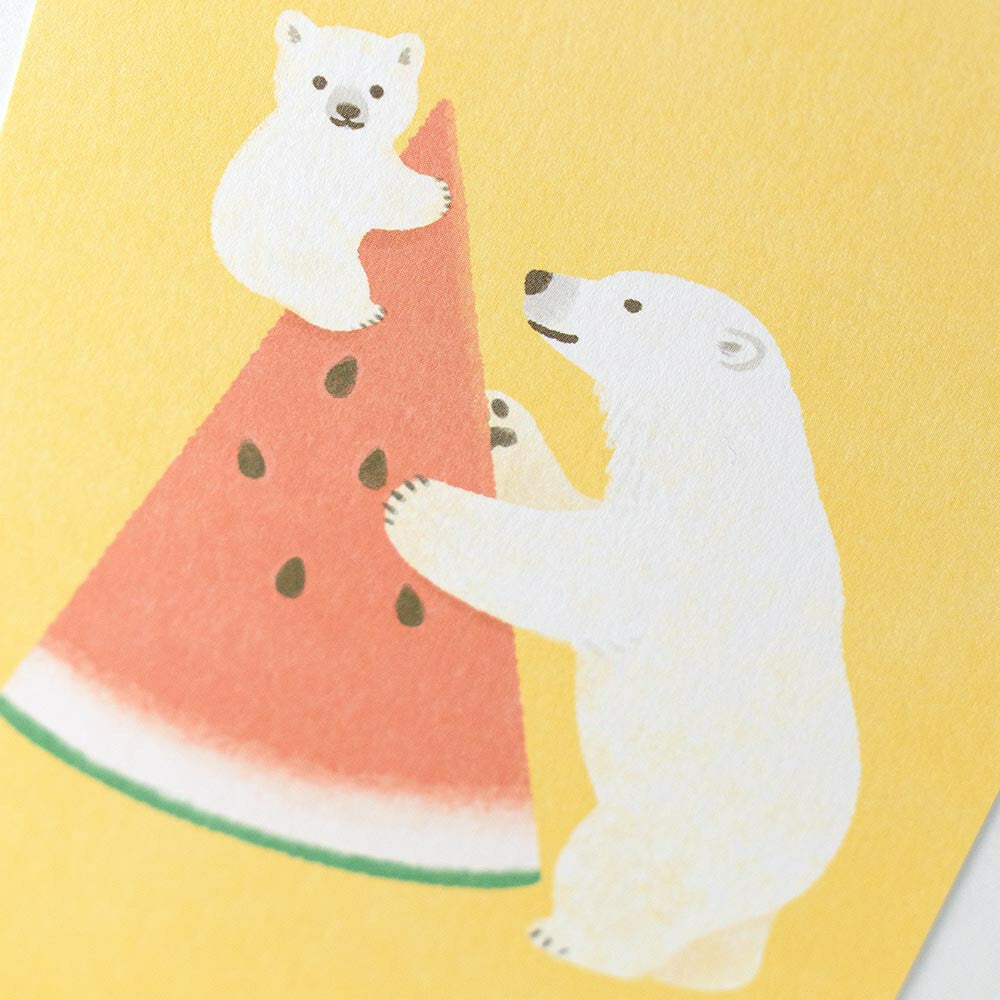 Polar bear and watermelon - NB.co postcard