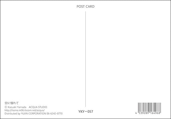 Longing for the Sky - Kazuaki Yamada Postcard