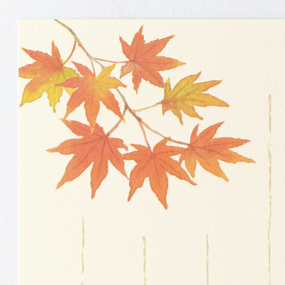Autumn leaves - NB.co postcard