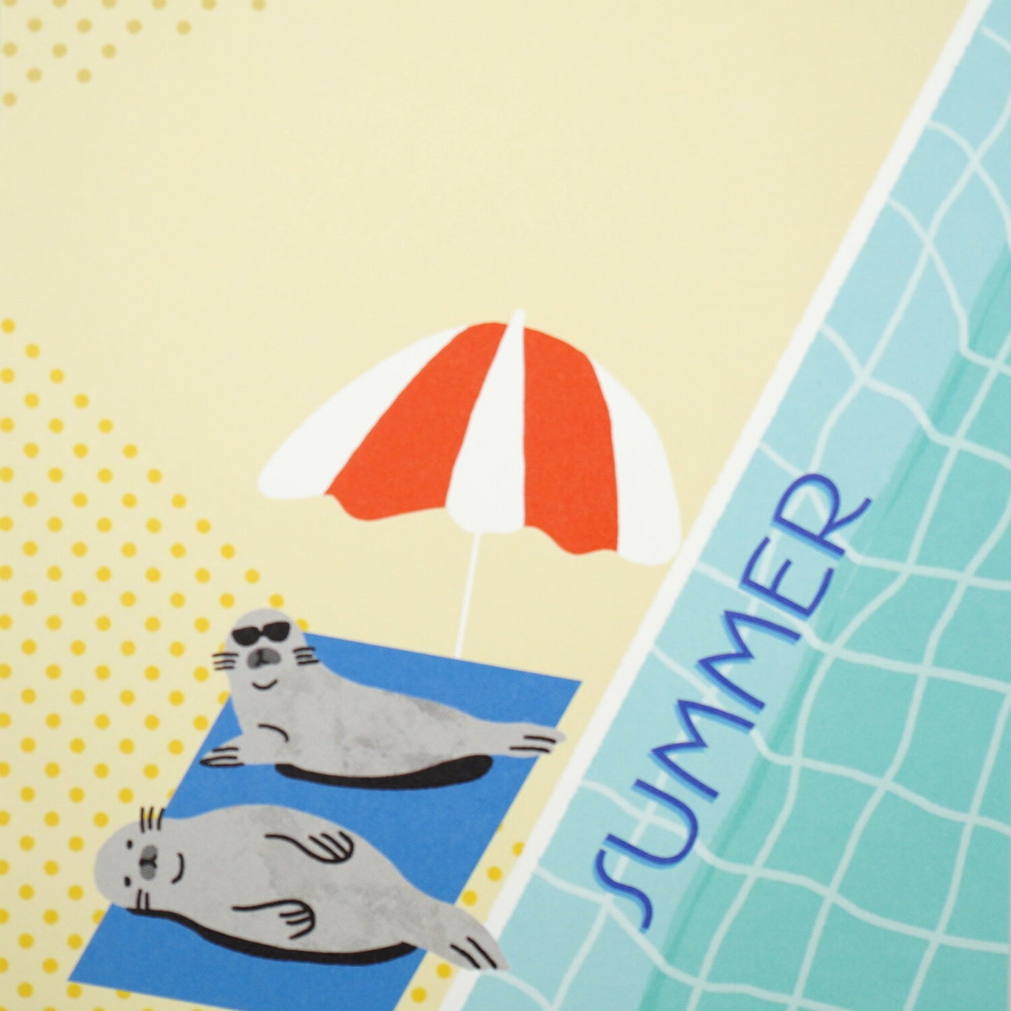 Seals - Frontia summer postcard