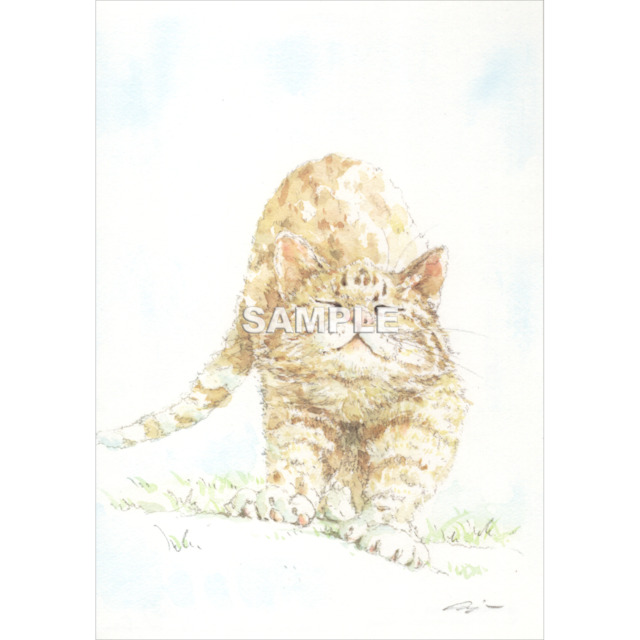 Senobi (Cat)- Shinya Uchida Postcard