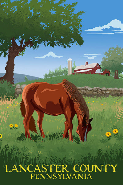 Lancaster, Pennsylvania - Horse In Field - Lantern Press Postcard