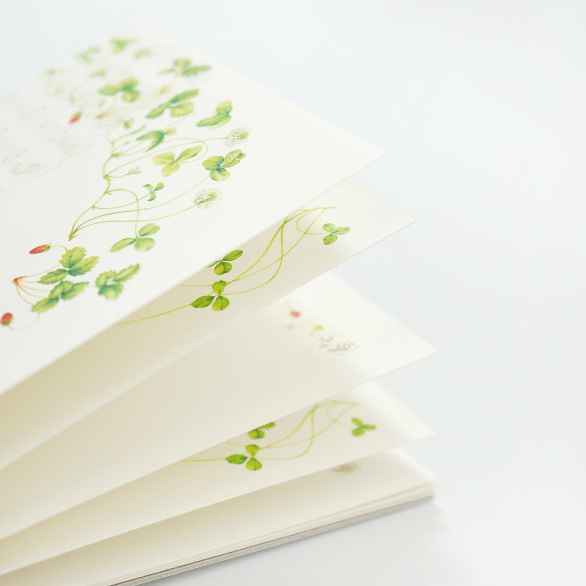 Music Strawberry - Frontia postcard pad