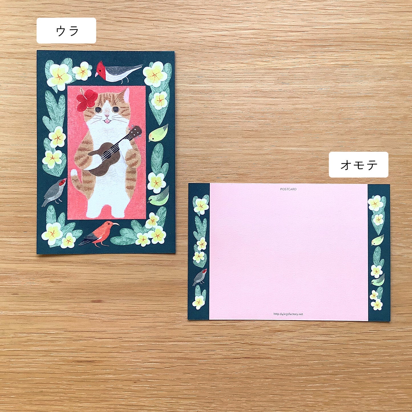 brown and white Hawaii - Cat in a picture book series- 4Legs postcards