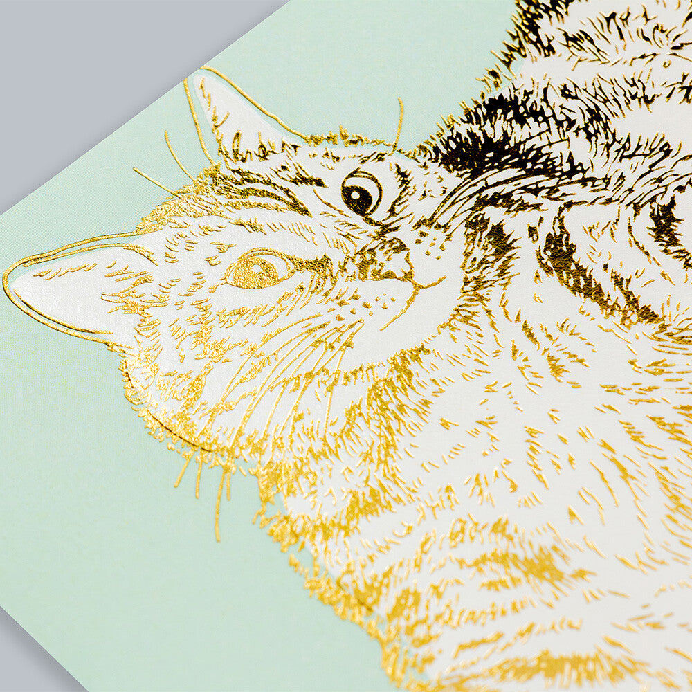 Cat Roll - ROKKAKU x 365 Cats.Art postcard