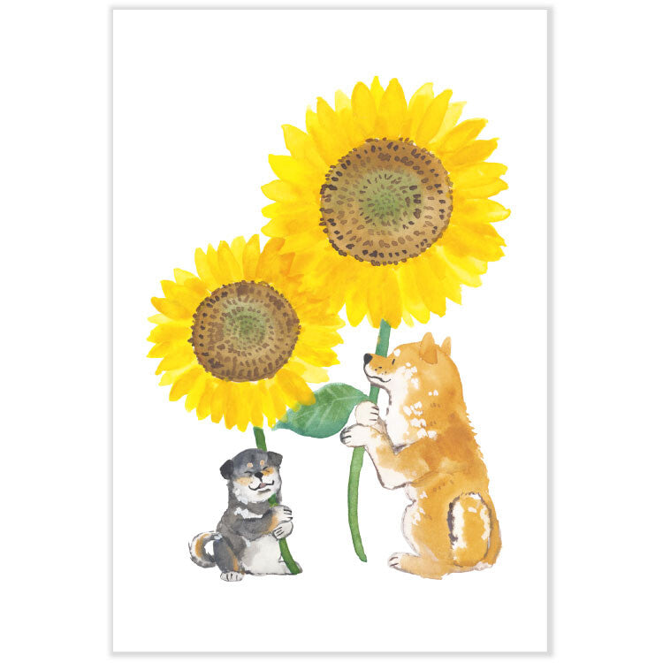 Shiba Inu and Sunflowers - Natsuka Murata Postcard