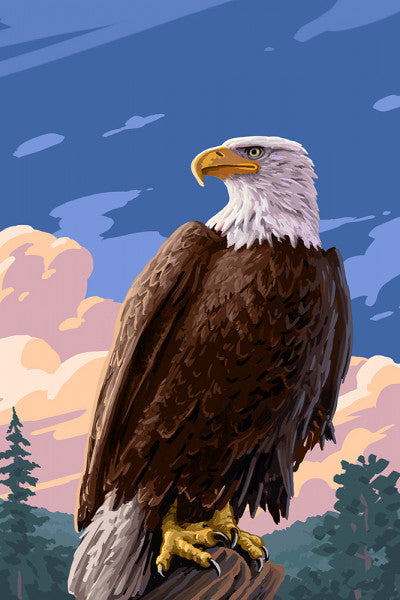 Painterly - Bald Eagle - Lantern Press Postcard