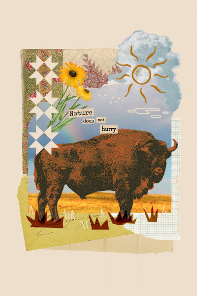 Retro Collage - Bison - Lantern Press Postcard