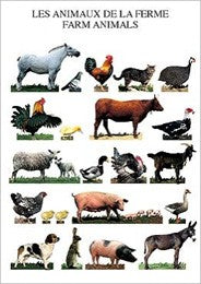 Farm Animals
