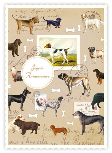 Happy BIrthday (Dogs) ! Joyeux Anniversaire - Quire postcard