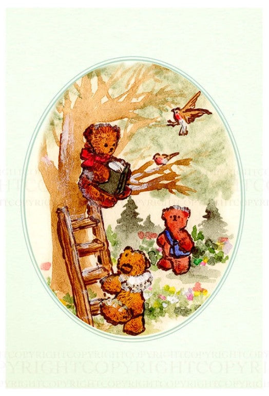 Bear Reading on a Tree - Krimgen postcard