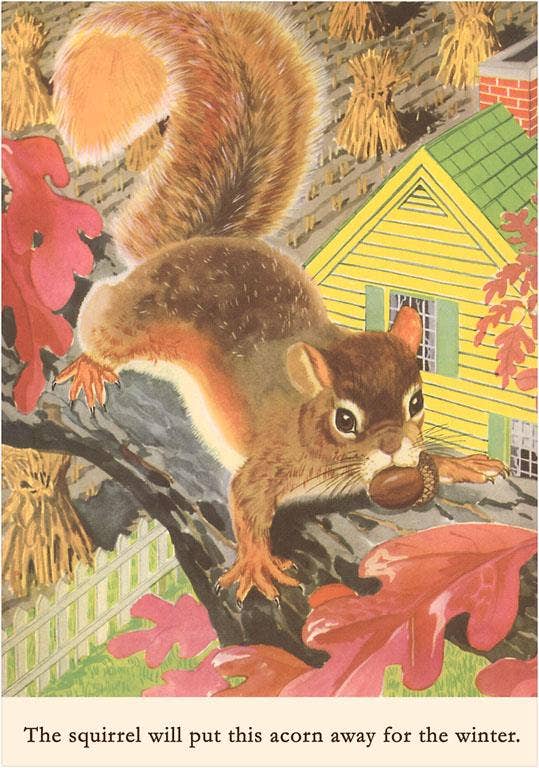 Squirrel with Acorn - Found Image postcard