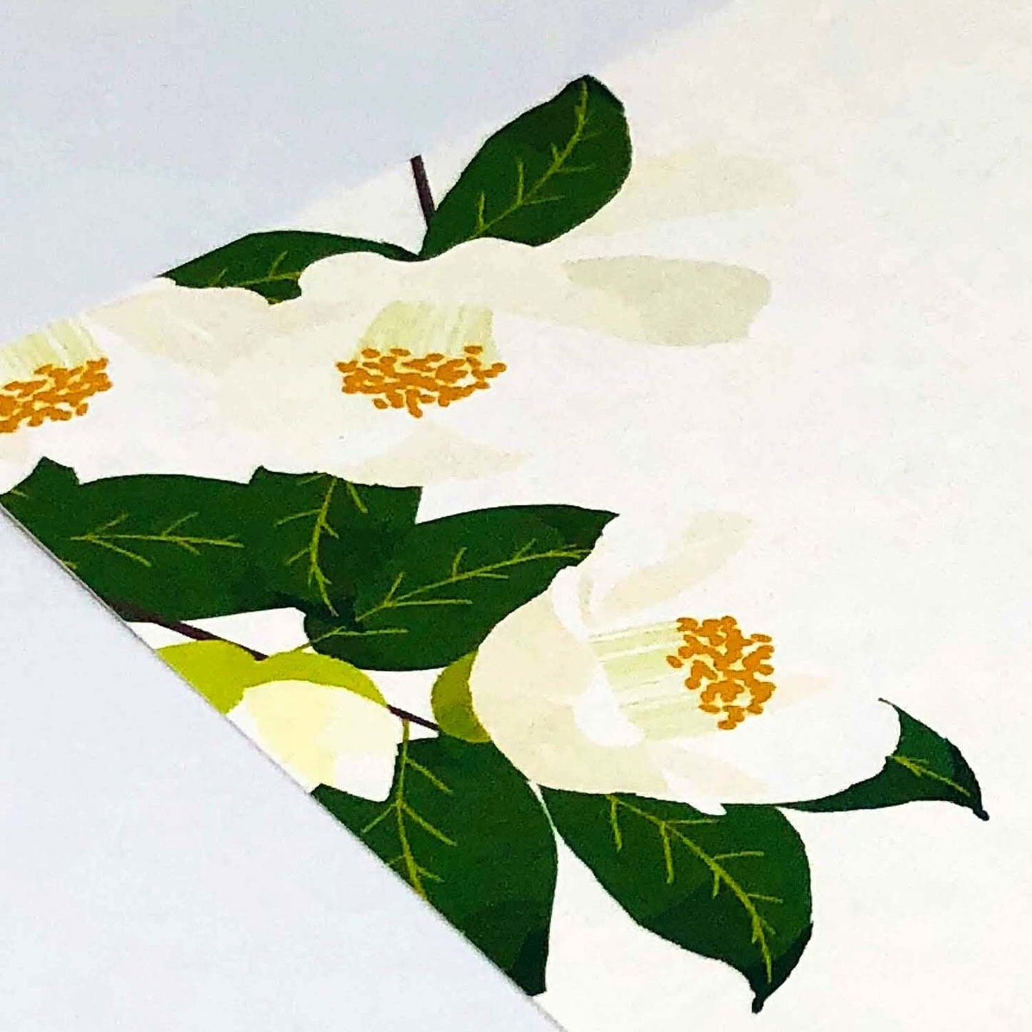 White Camellia - Frontia winter postcard