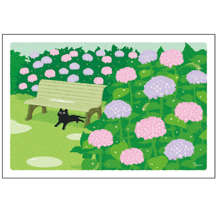 Summer Hydrangea - Traveling Cat