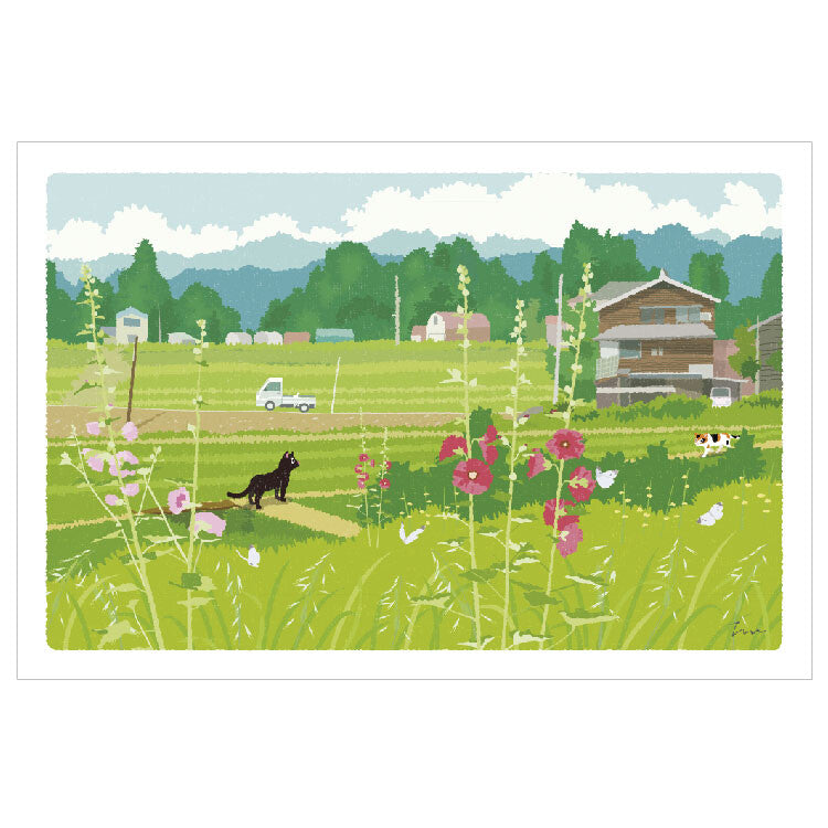 Summer farm - Traveling Cat