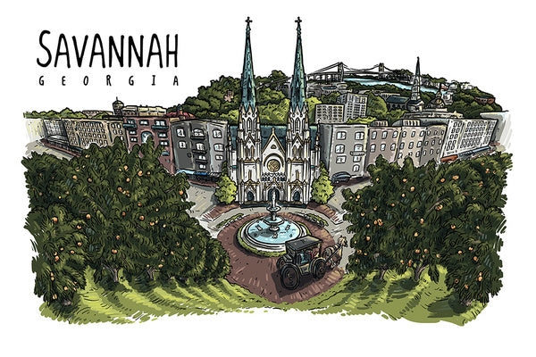 Savannah, Georgia - Line Drawing - Peach Trees - Lantern Press Postcard
