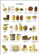 HONEY