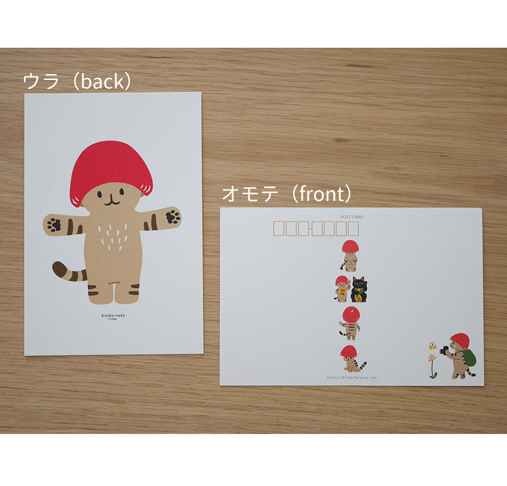 Boku Mushroom Kitten - 4Legs postcards