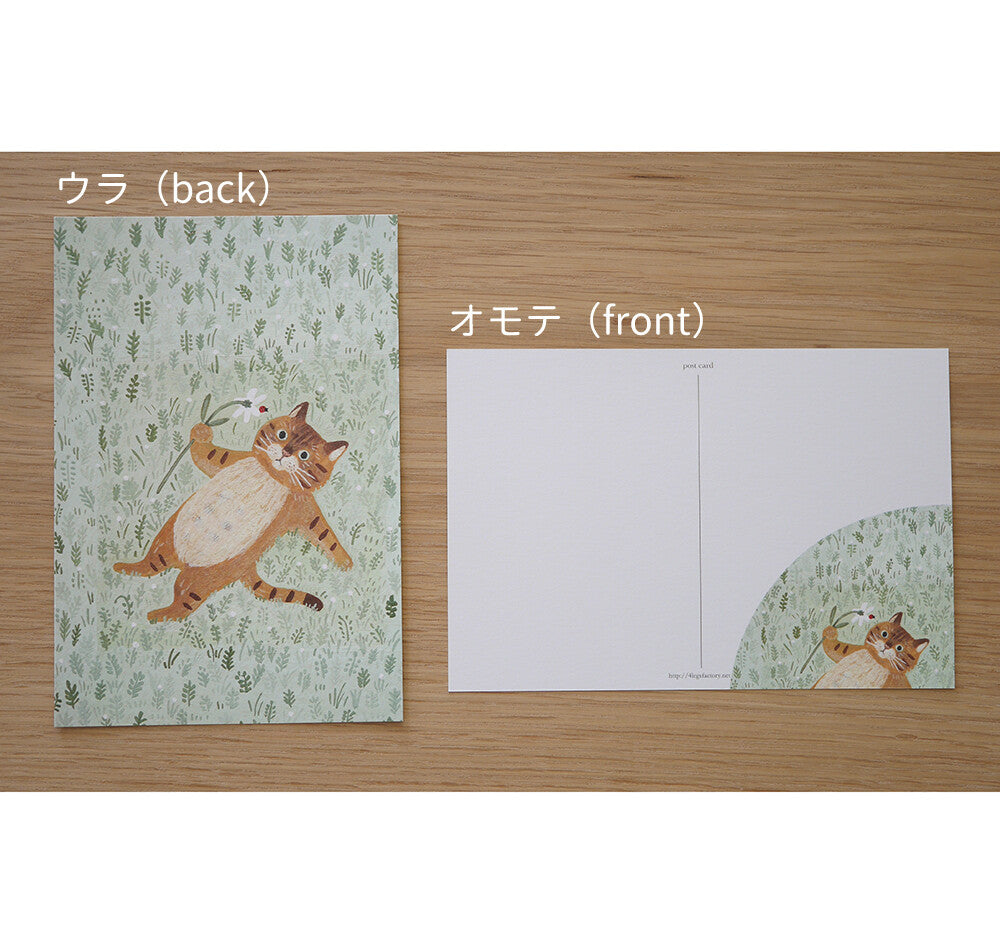 tiger cat in grass field - 4Legs postcards