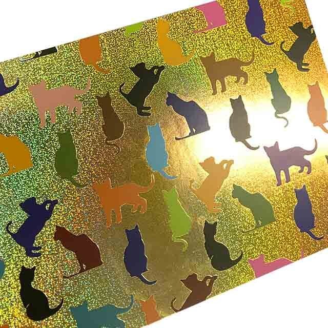 Colorful Cats - Popc'Art Postcard