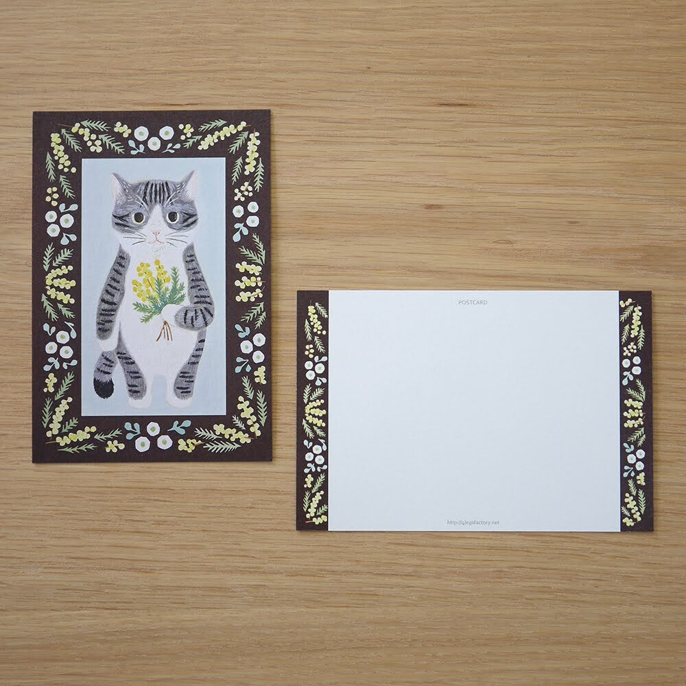 Saba White - Cat in a picture book series- 4Legs postcards
