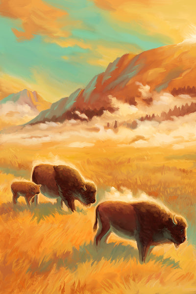 Bison - Valley - Oil Painting - Lantern Press Postcard