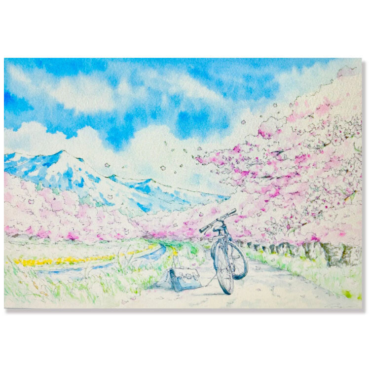 Spring Pattern - Sakura Road - Shinya Uchida Postcard