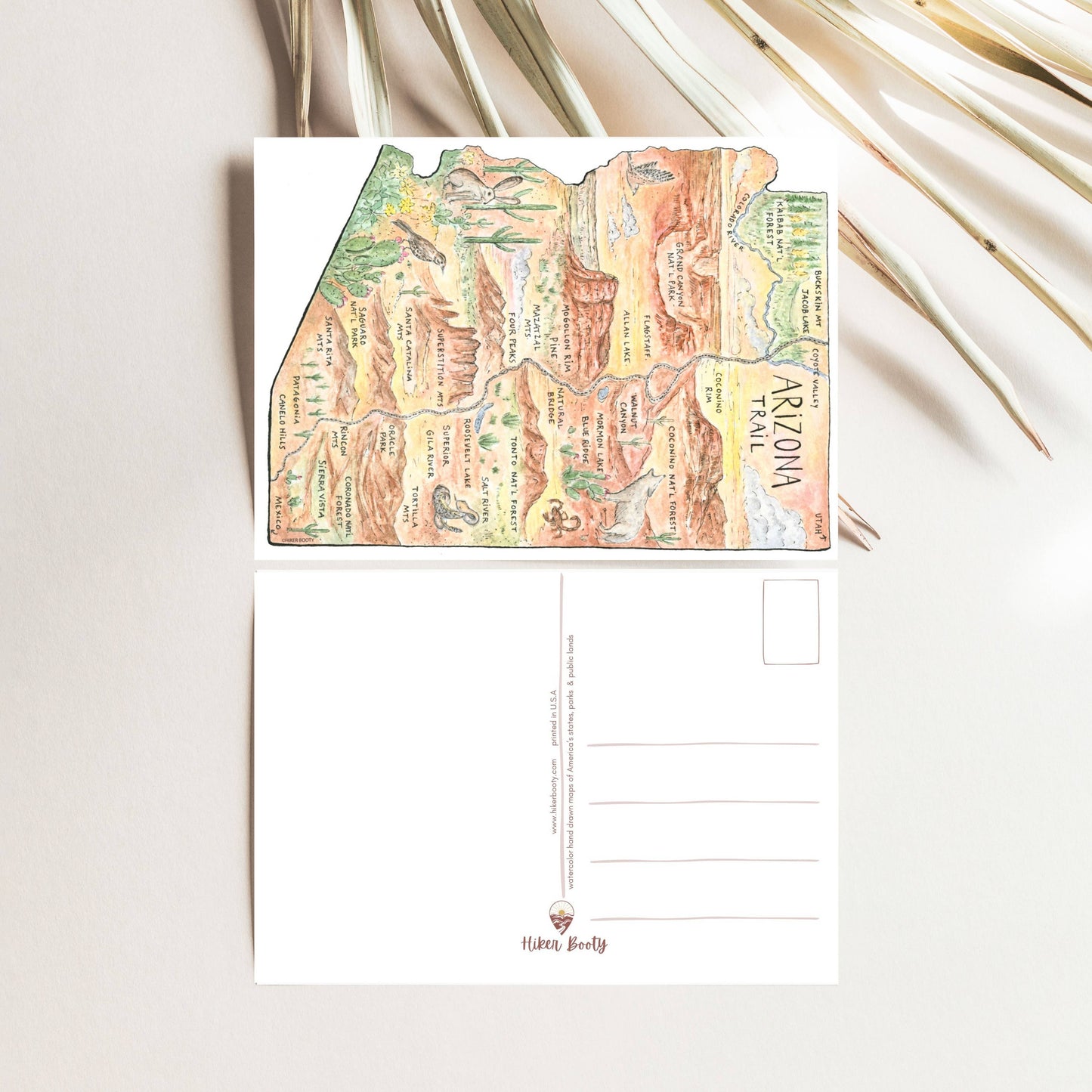 Arizona Trail Map - Hiker Booty Postcard