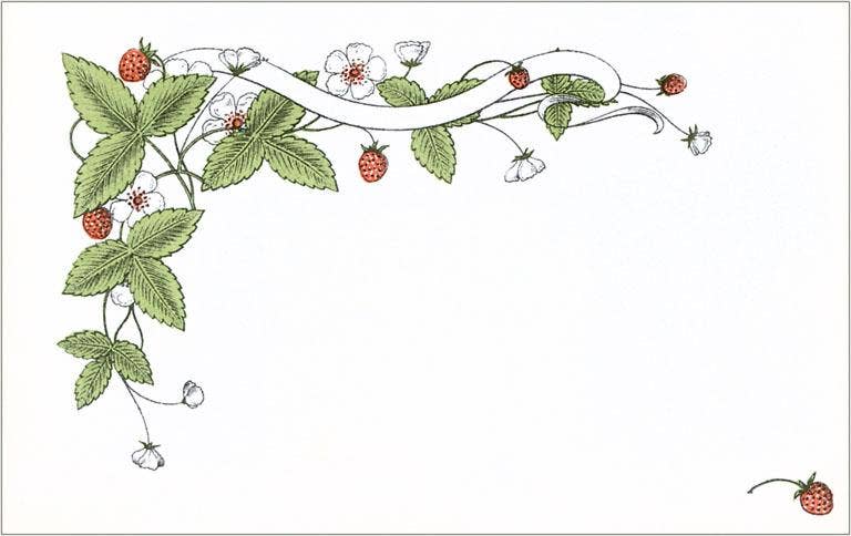 Strawberry Border, Fruit, Leaves, Flowers - Vintage Image, Found Image Postcard