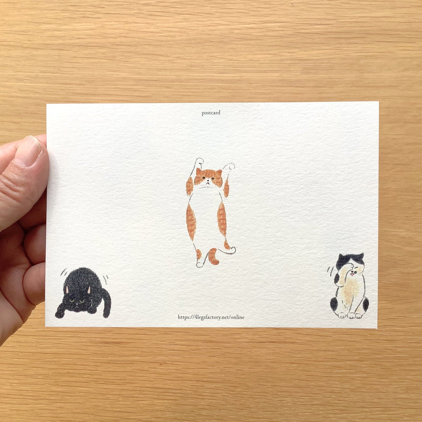 I like cats 猫が好き- 4legs postcards