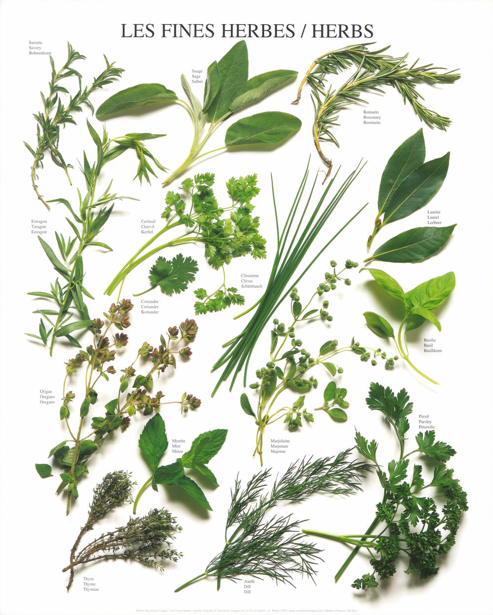 Herbs