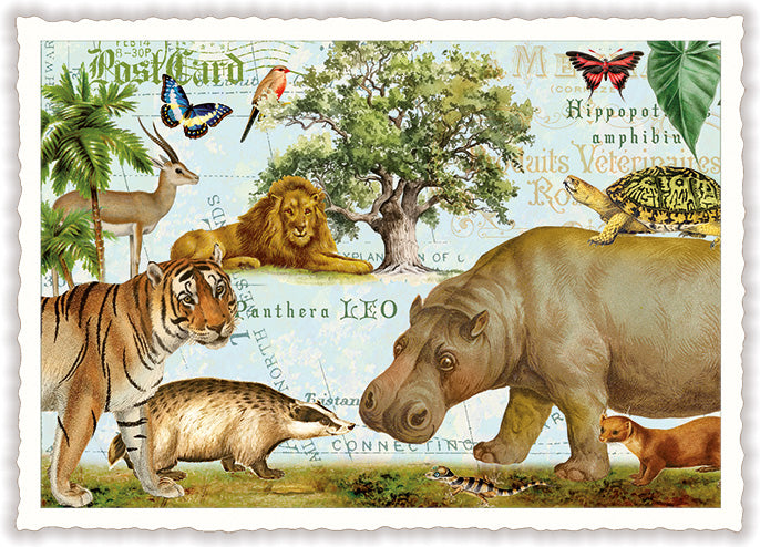 Hippo & Friends - PK1328