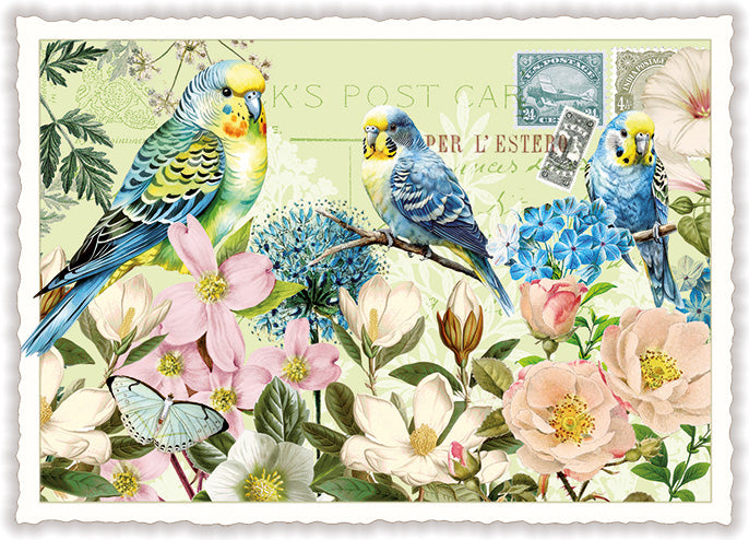 White Spring (White Spring)- PK1332