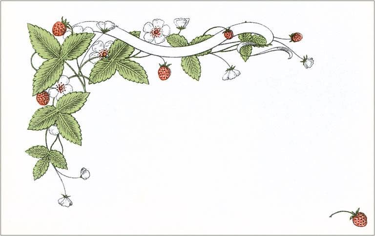 Strawberry Border, Fruit, Leaves, Flowers - Found Image postcard