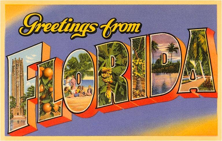 Greetings from Florida - Vintage Image, Found Image Postcard
