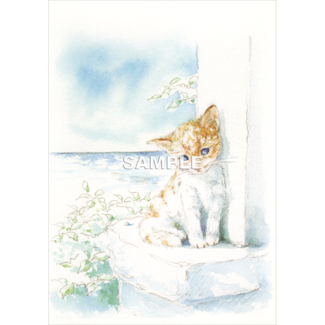 海と子ねこ (Cat)- Shinya Uchida Postcard
