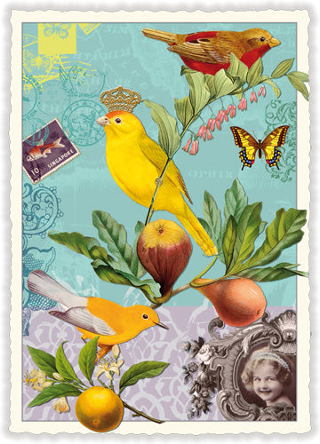 Vogel, Bird - PK375