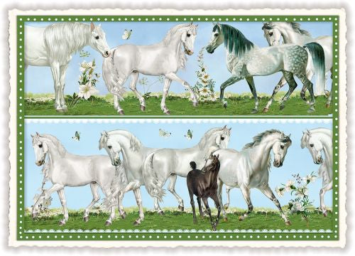 PFERDE, horses - PK831
