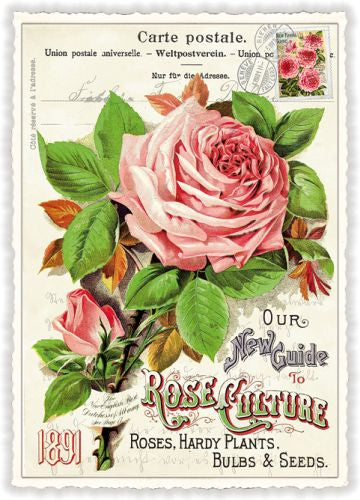ROSE - PK901