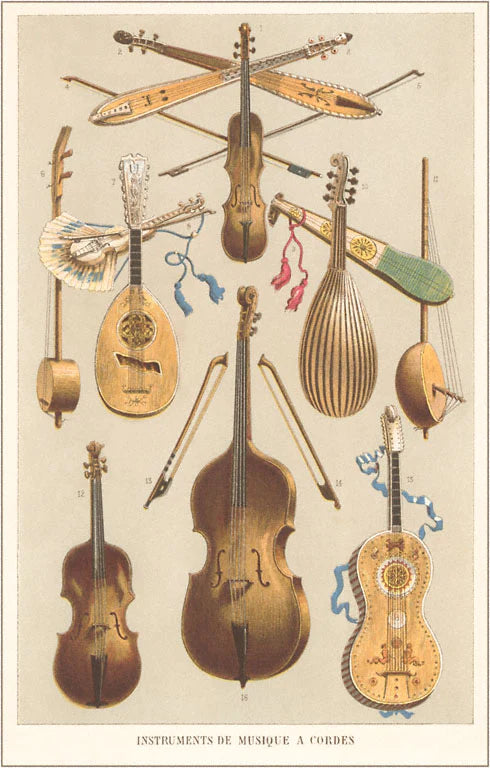 Variety of Stringed Instruments - Vintage Image - Found Image postcard