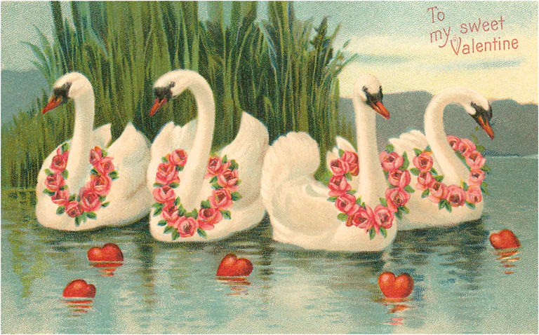 To My Sweet Valentine, Swans with Rose Leis - Vintage Image - Found Image Postcard