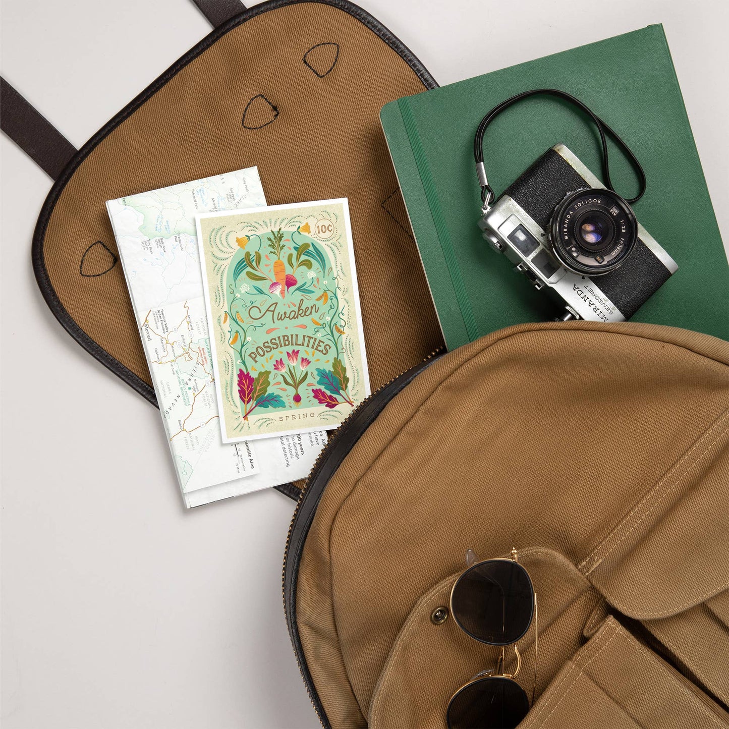 Seasons Mantra, Spring - Lantern Press Postcard